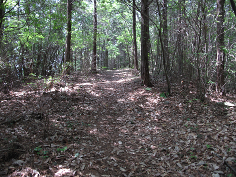 20140524hike (262)